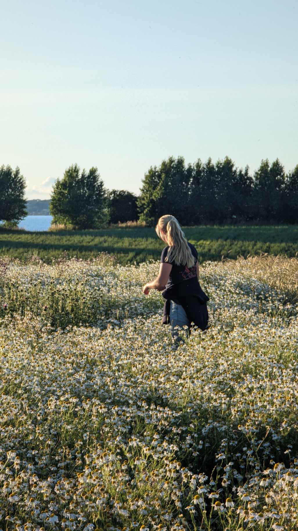 Aan land tussen bloemen en korenvelden
